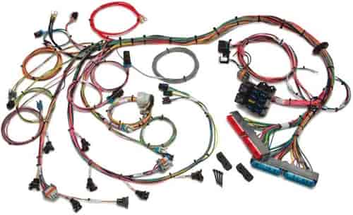 [PRF-60509] Painless Performance Products 60509: EFI Wiring Harness 1998-2004 GM LS1/LS6