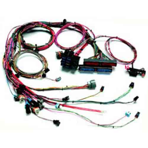 [PRF-60520] Painless Performance Products 60520: EFI Wiring Harness 2005-06 GM LS2