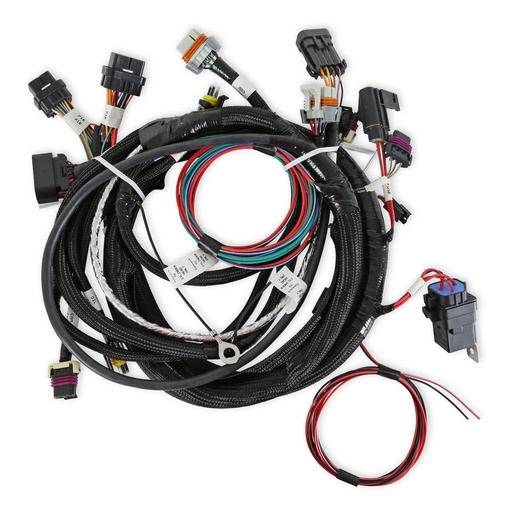 [HLY-558-111] Holley 558-111: 558-111 HARNESS TBI LSX 24X
