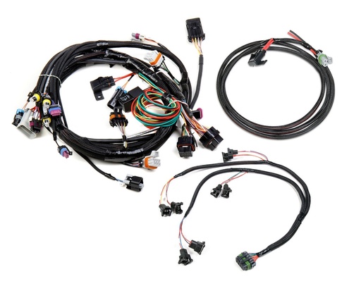 [HLY-558-500] Holley 558-500: 558-500 EFI Harness Kit GM LS1/6