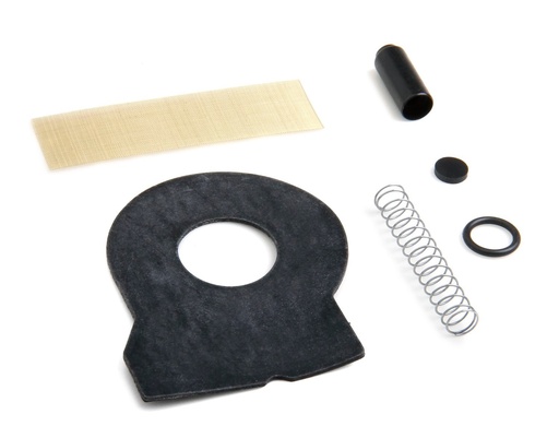 [HLY-12-816] Holley 12-816: 12-816 Fuel Pump Check Valve Kit