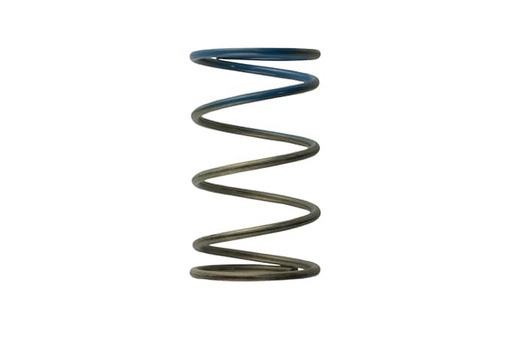 [TBS-TS-0505-2005] Turbosmart TS-0505-2005: Wastegate Spring 10 psi (Brown/Blue Outer Spring)