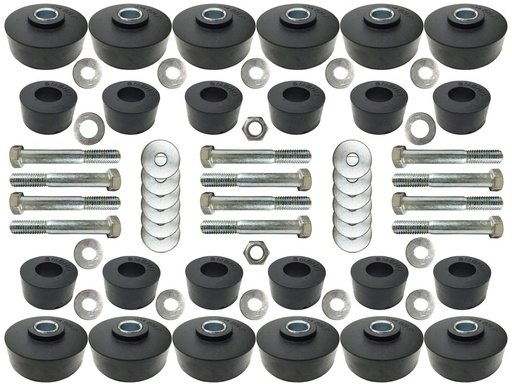 [AUP-BM1012KIT] Autopro USA BM1012KIT: BODY MOUNT KIT