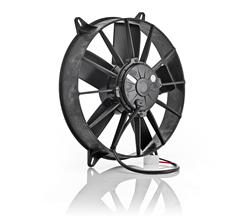 [BCI-75005] Be Cool Qualifier Fans