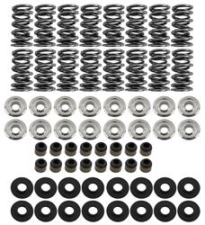 [BTC-SK001S0560BB] BTR Platinum Valve Spring Kits