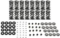 [BTC-SK702-0560BB] BTR Platinum Valve Spring Kits