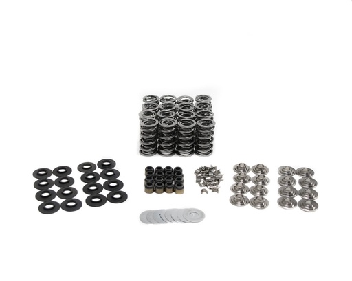 [BTC-SK008-BB] Brian Tooley Racing BTR SK008-BB: SK008/BB Platinum Dual Spring Kit, Gen V GM LT4, .660 in. Lift