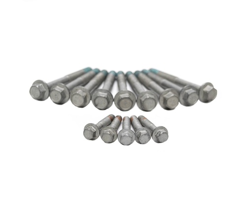 [BTC-BTR00568] Brian Tooley Racing BTR BTR00568: BTR00568 Head Bolt Kit for GM LS Engines (04+)