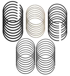 [HSN-2M5170] Hastings Premium Ductile Ring Sets